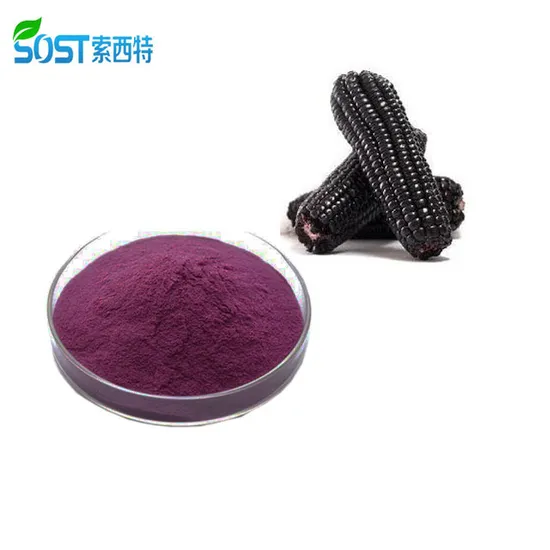 High Quality Natural Herbal Extract Purple Corn Powder 