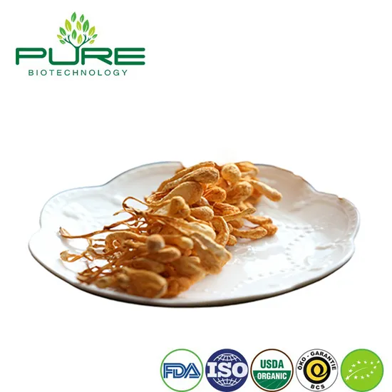 Chinese Herbal Medicine Plant Extract Cordyceps Militaris Extract Powder for Health Food 