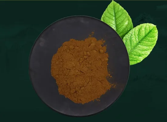 Polygonum Multiflorum Powder Pain Relief Liquid Raw Material 