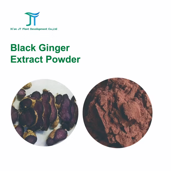 Herbal Powder Organic Ginger Root Extract Powder