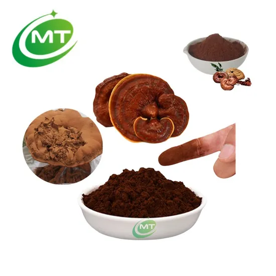Organic Ganoderma Lucidum Mushroom Plant Extract Reishi Mushroom Herbal Powder Reishi Extract for Health Supplement
